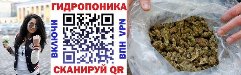 сайты даркнета официальный сайт Ишим Шишки марихуана AK-47 кракен вход